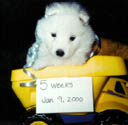 5 weeks old