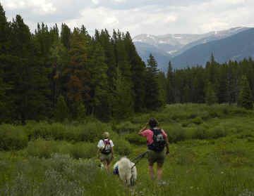 hike18.jpg (43093 bytes)
