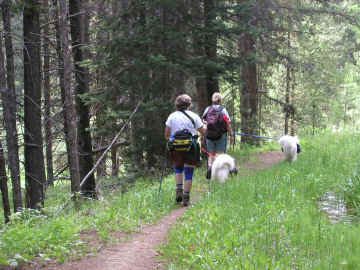 hike19.jpg (78286 bytes)