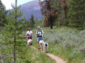 hike20.jpg (73115 bytes)