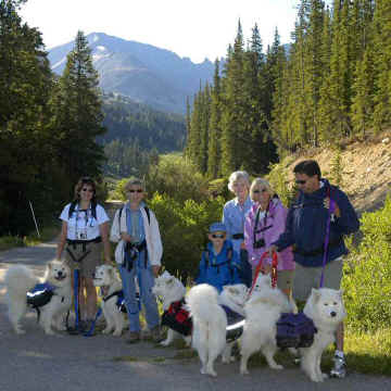 hike6.jpg (75859 bytes)