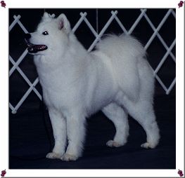 Aspen at Harisburg PA Show 2001