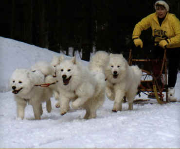 Tughill PA 2002