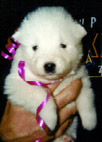 3 weeks old